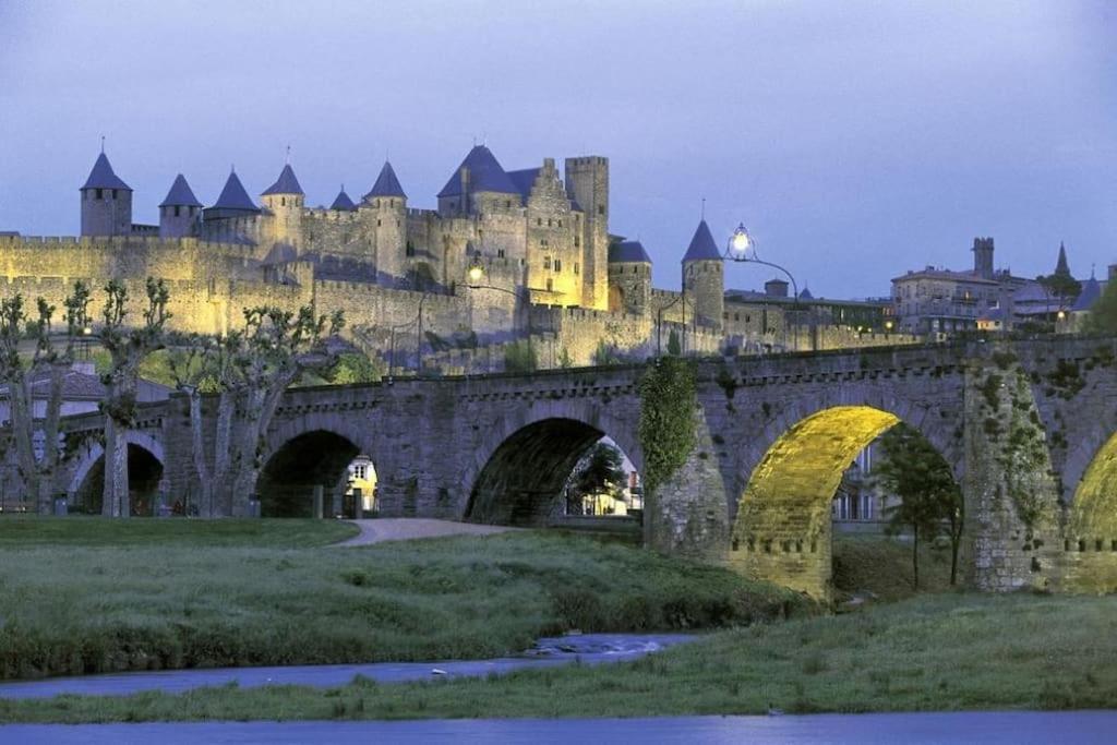 Maison Sur Les Hauteurs De Carcassonne Exterior photo
